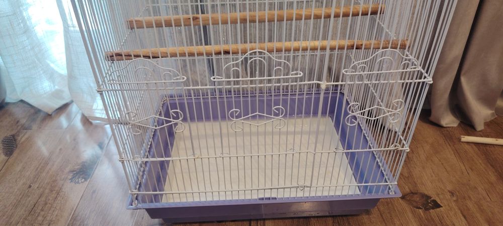 Colivie mare papagali.