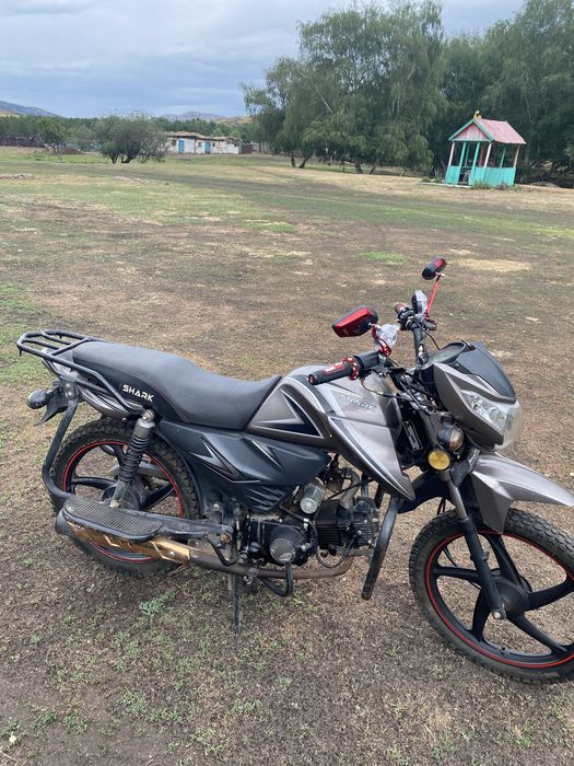 Мопед шарк 125сс