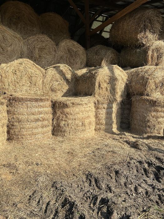 Vând baloți de fân