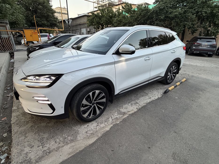 Byd champion 605