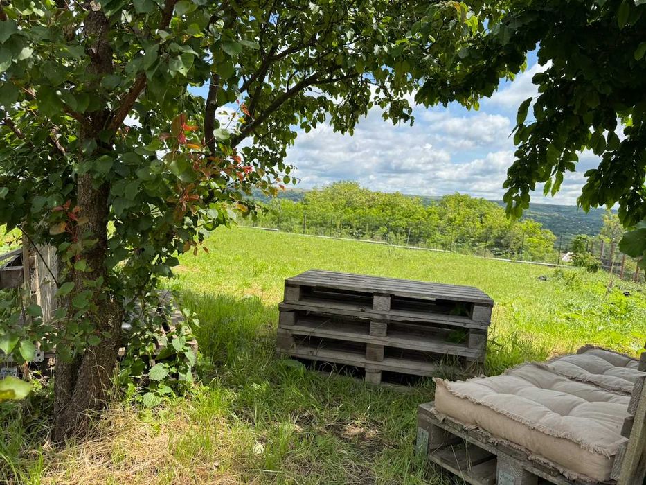 Teren 1797 mp în Dobrovăț (Ruși) – la pădure, cu investiții deja făcute