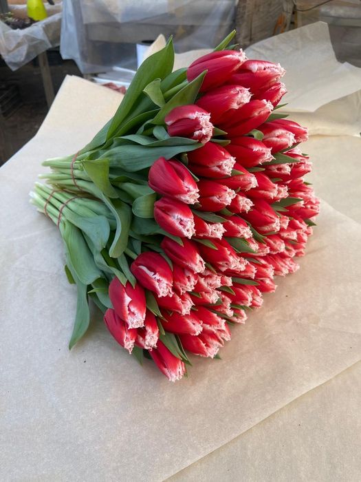 Тюльпаны крупные по 700тг