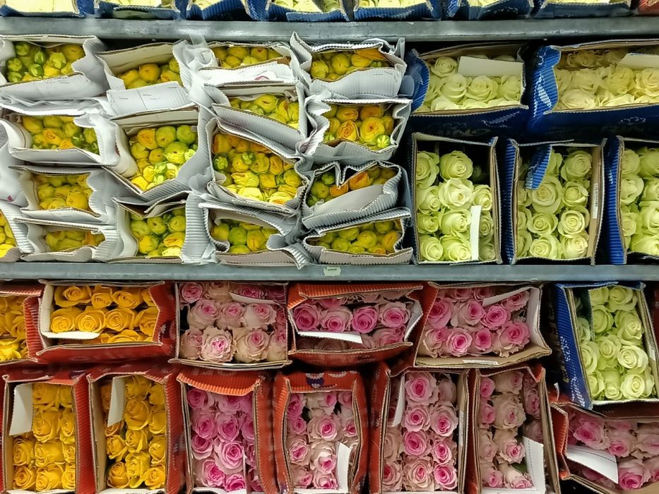 Оптом и в розницу розы