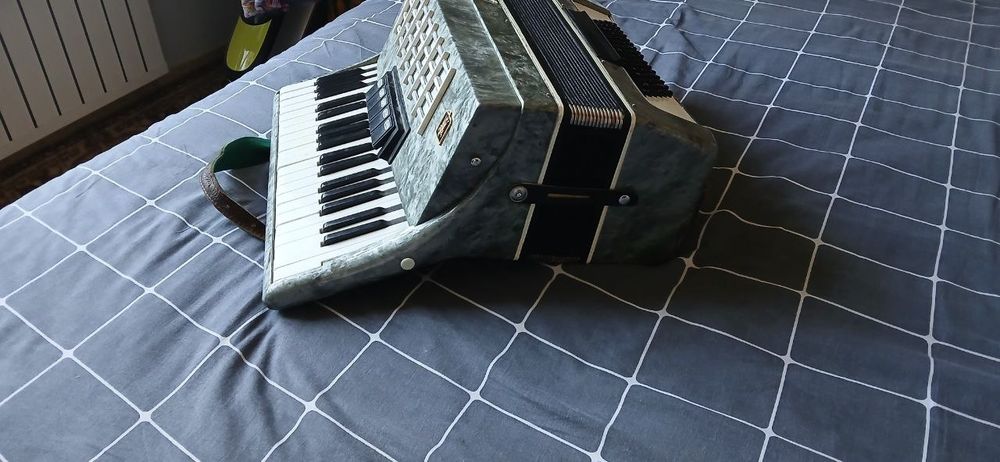 Аккордеон" аэлита"