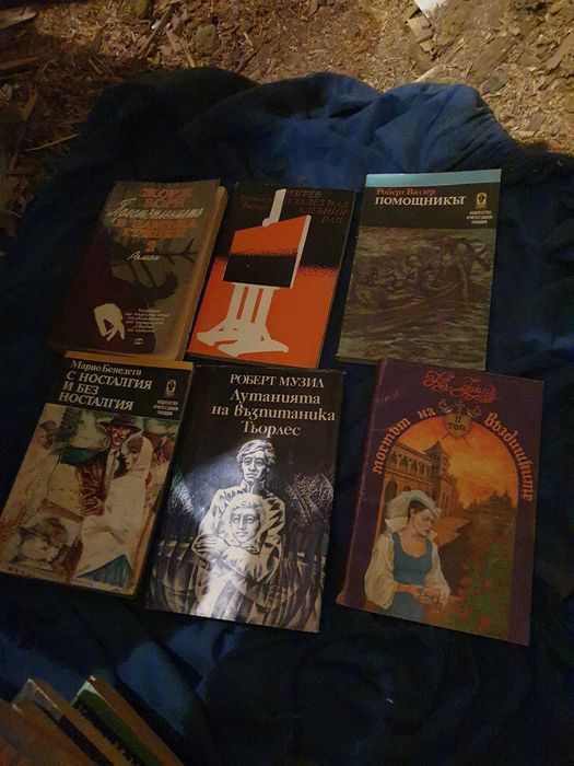 Лот Запазени Книги