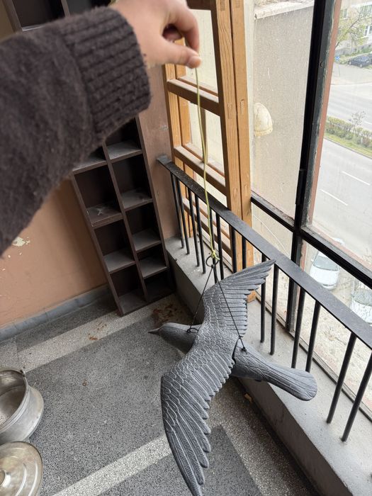 Плашило гарван/сокол в полет - против птици