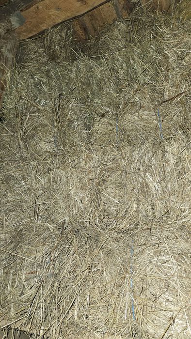 Vând baloți de fân