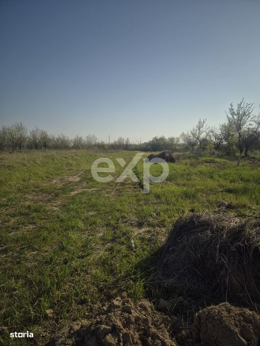 Vanzare teren Albota perfect plan