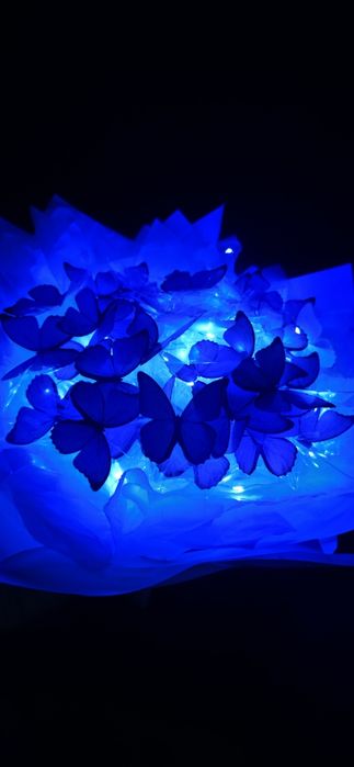 Букет из бабочек, светящийся синий и пышные! Люкс
