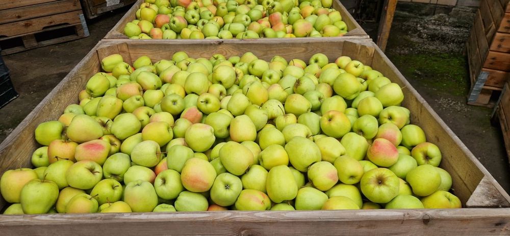 Vând Mere și Cartofi