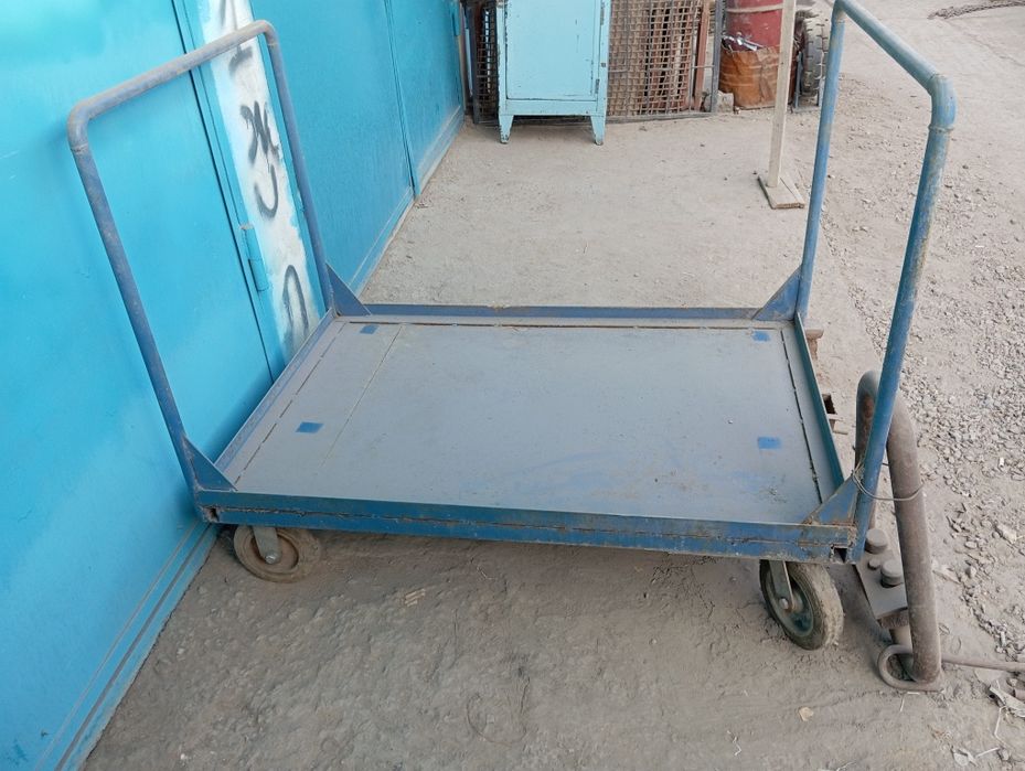 Төрті Аяқты Ешек