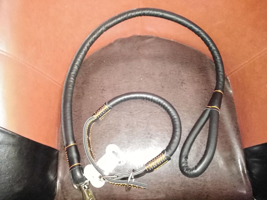 Lesa caini și zgarda set