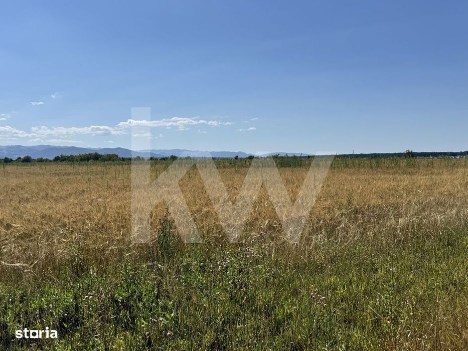 Teren 720 mp Sevis | 23 m front | Oportunitate investitie 24.480€