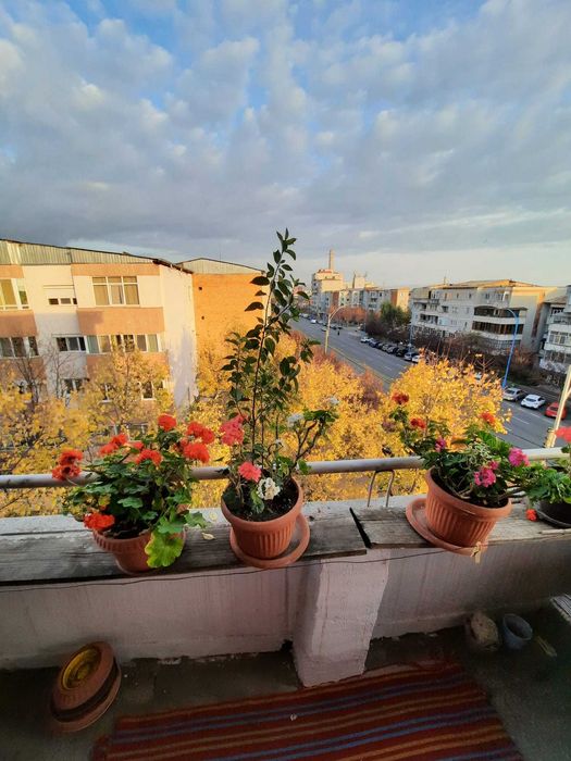 Apartament cu 2 camere, decomandat, zona Iiruc