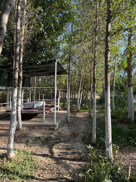 Бассейн Самарканд. Аренда бассейна. Коттедж. Зона отдыха. Дача