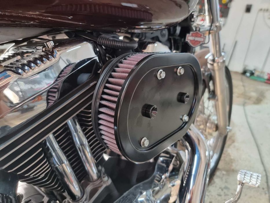 Harley Davidson Sportster XL1200L Willie G custom