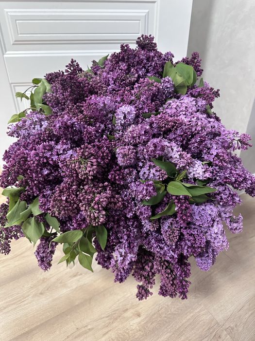 Продам огромный букет сирень