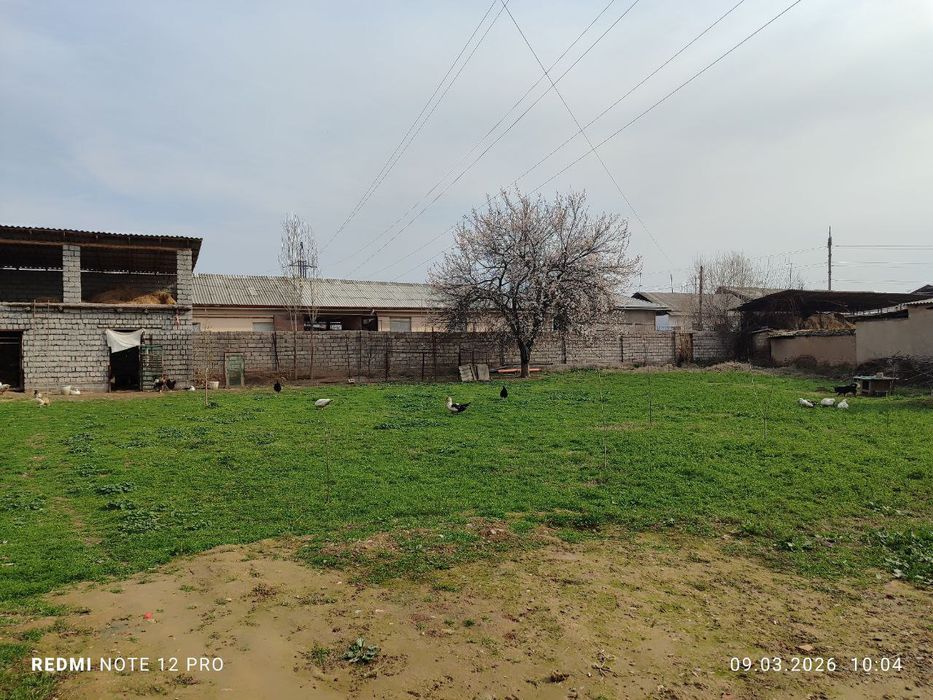 Yer sotiladi 7 sotka