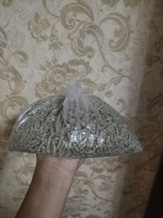 kiz bola kuyon sotiladi Bonus miska va ovkati