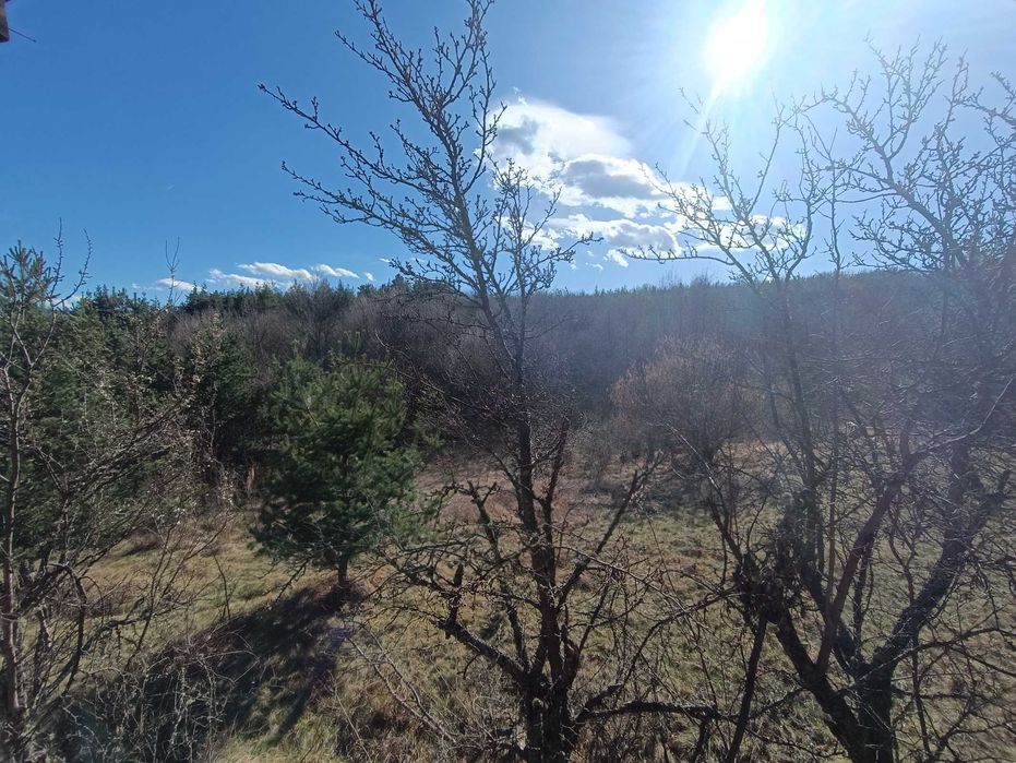 Продава се Къща в Костандово - 100 кв.м за 96 €/кв.м - Снимка #15