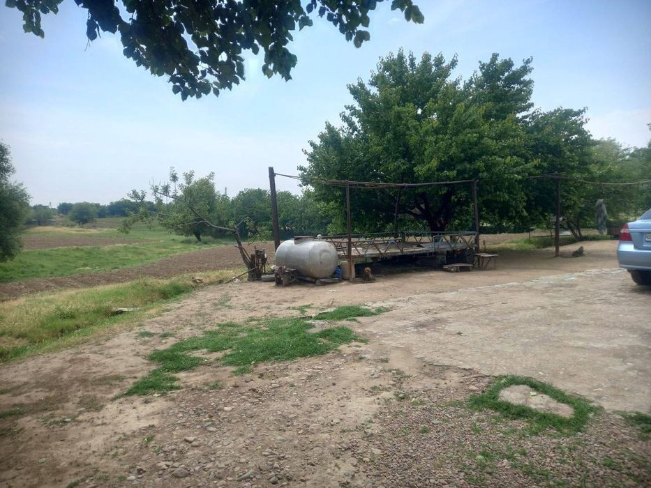 Osmirlar jinsiy aloqada bolishga harakat qilmoqdalar