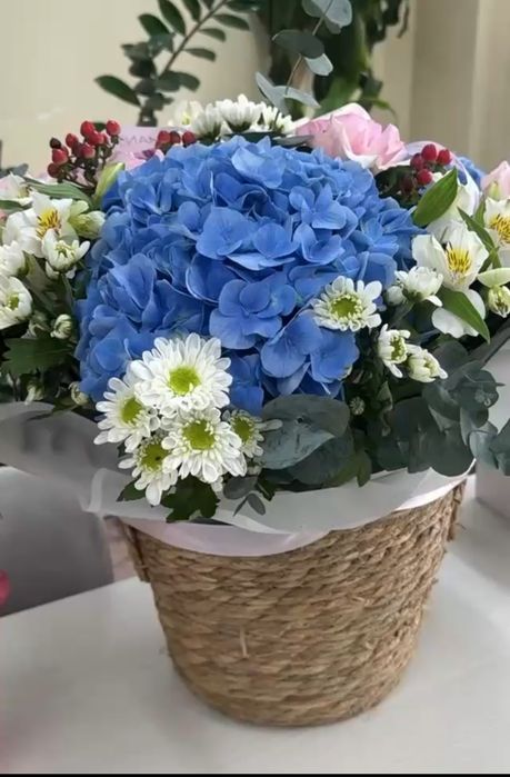 Продам цветы Romantic