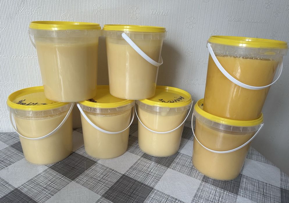 Мед, Бал, Алтайский мед