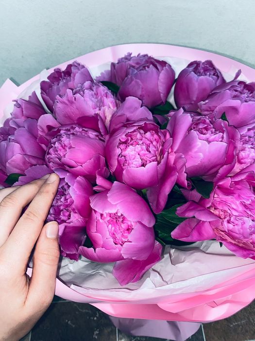Цветы пионы 15 штук
