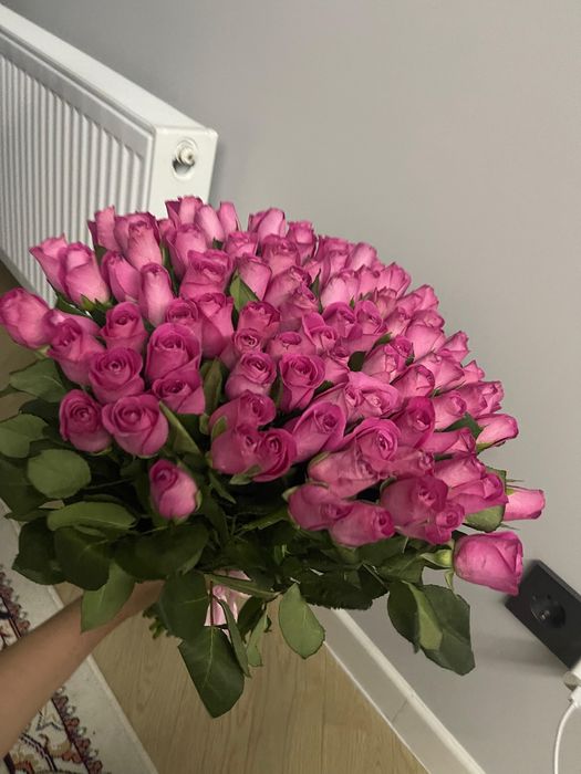 Цветы розы свежие