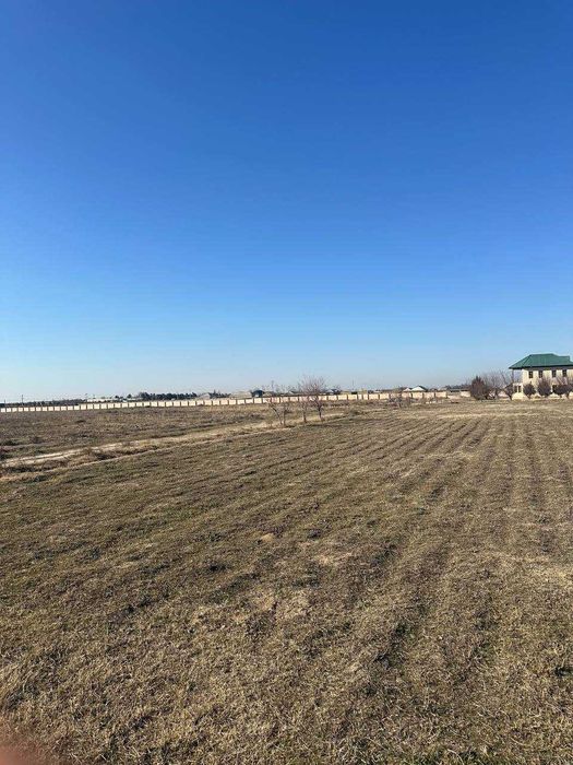 Бизнес учун таййор дача сотилади