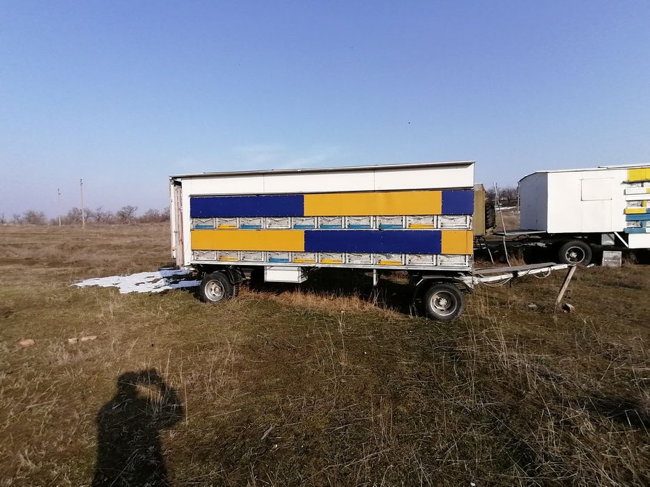 Продам пасеку два вагона