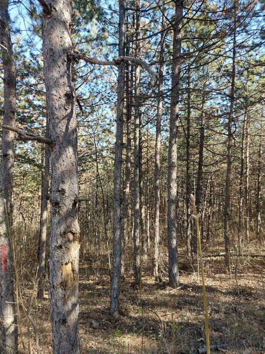 Продава се Парцел в с. Малка Верея, Област Стара Загора - 1333 кв.м за 4 €/кв.м - Снимка #18