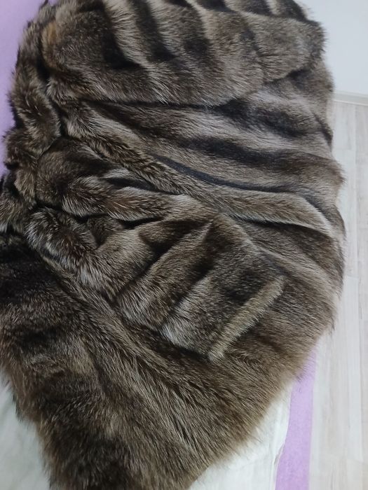 Италия, енот, новая