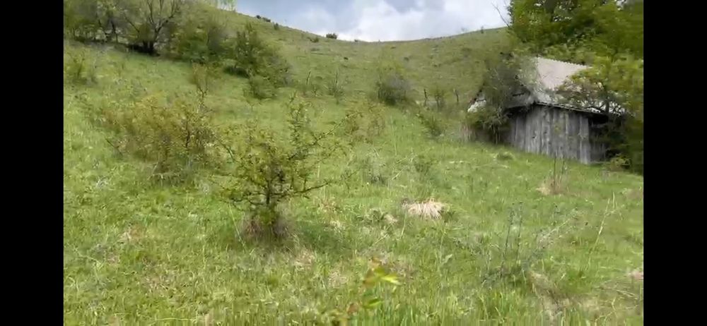 Teren la Transapuseana si unul in Mogoș Poieni
