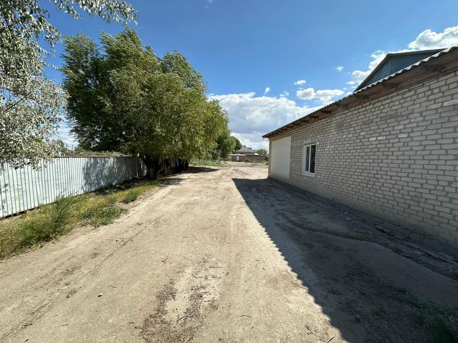 Уй сатылады, өте берекелі