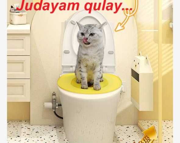 mushuk uchun gorshok