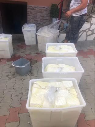 telemea de oaie de vinzare