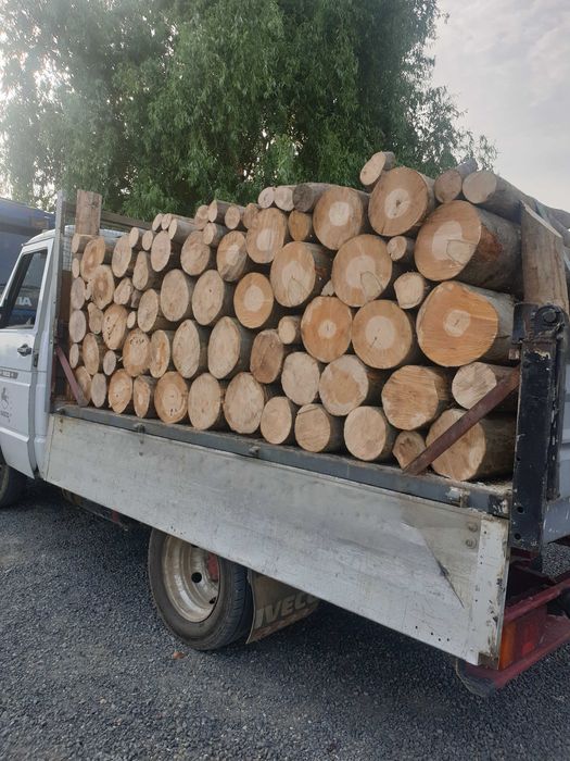 Vand lemne de fo esenta tare!