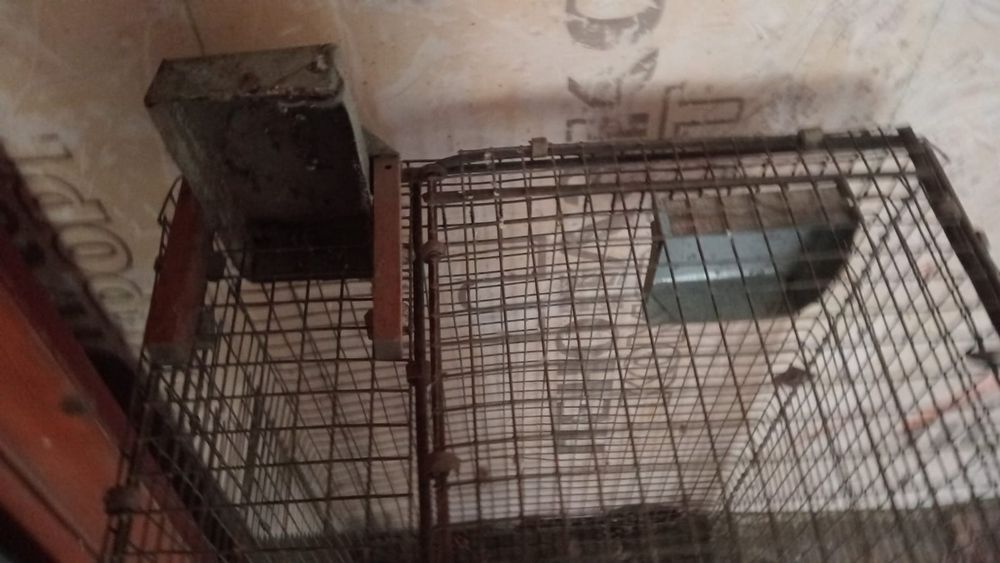 Продам клетки для кроликов