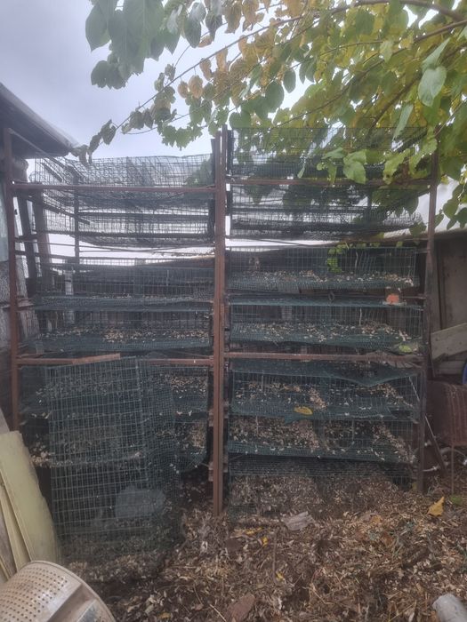 Custi pentru prepelite