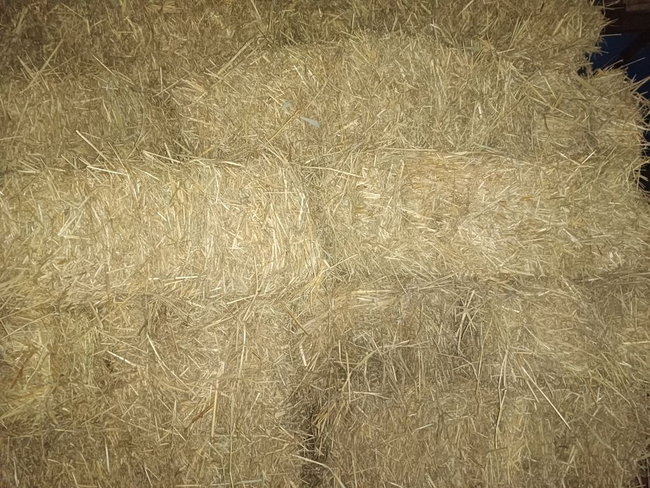 Қамиш пресс сотилади