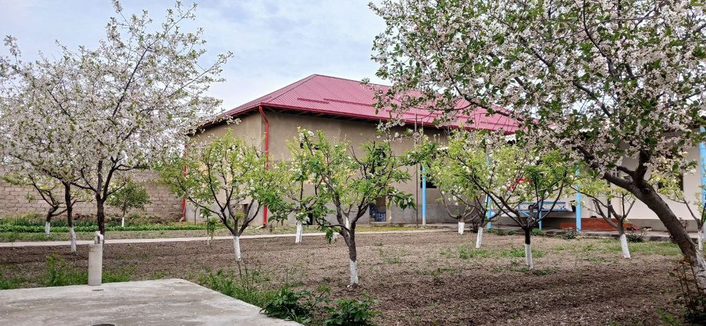 Дом 6 ти комнатная и 6 ти комнатная