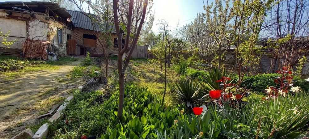 Продаётся дом участок , Хасанбай , за заводом Зенит Юнусабад