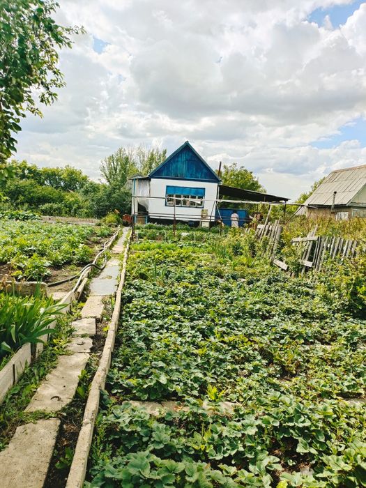 Продам дачу оптимист