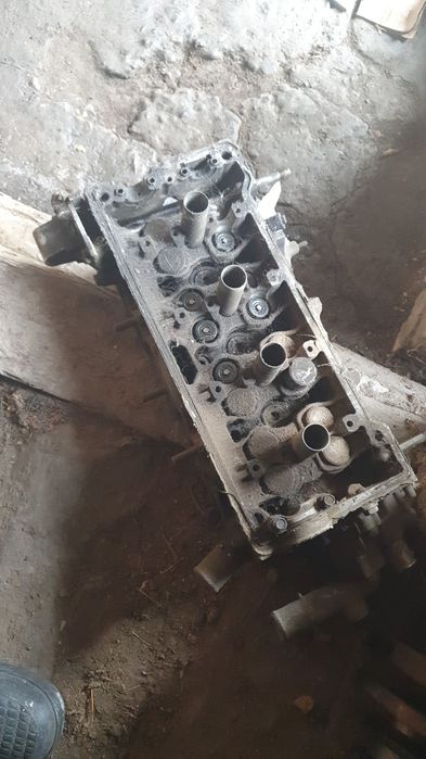 Головка Карина Е Европец