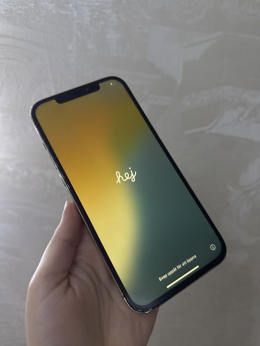 Iphone 12 Pro max