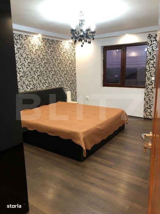 Doua case, spatiu comercial, casa tip pensiune Goicea Dolj