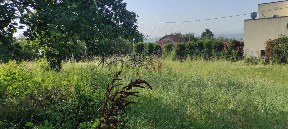 Косене на трева и буйна растителност+рязане на дървета