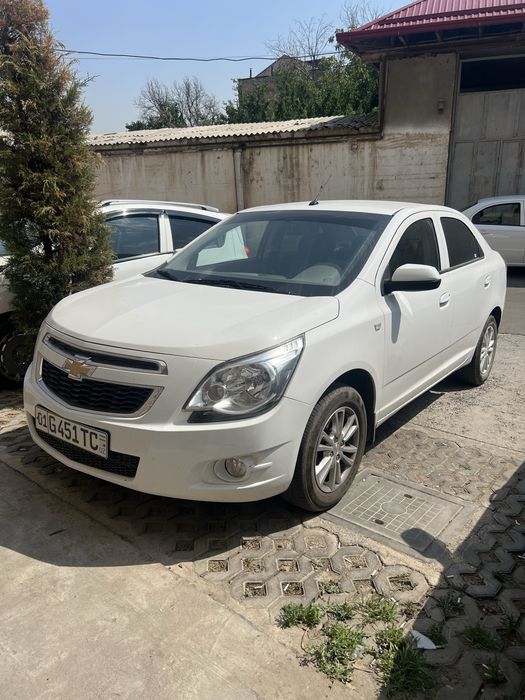 kobalt kobilt кобилт 2024