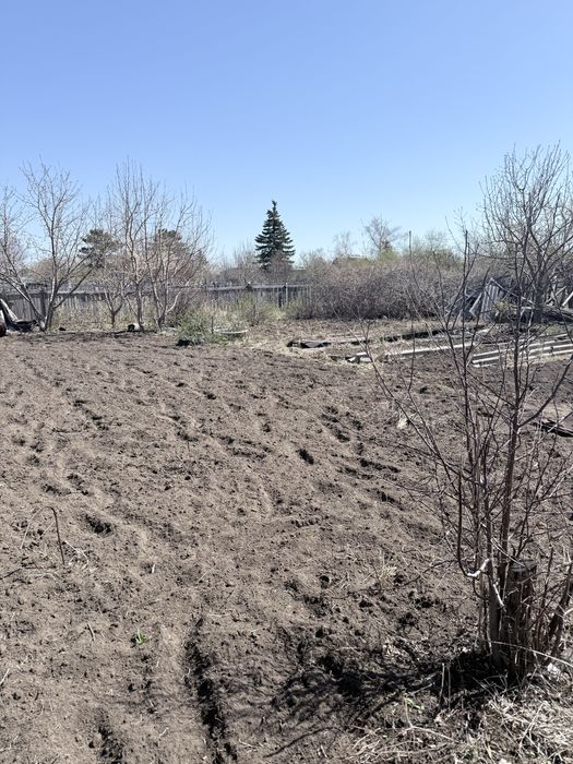 Продам дачу сад яблонька